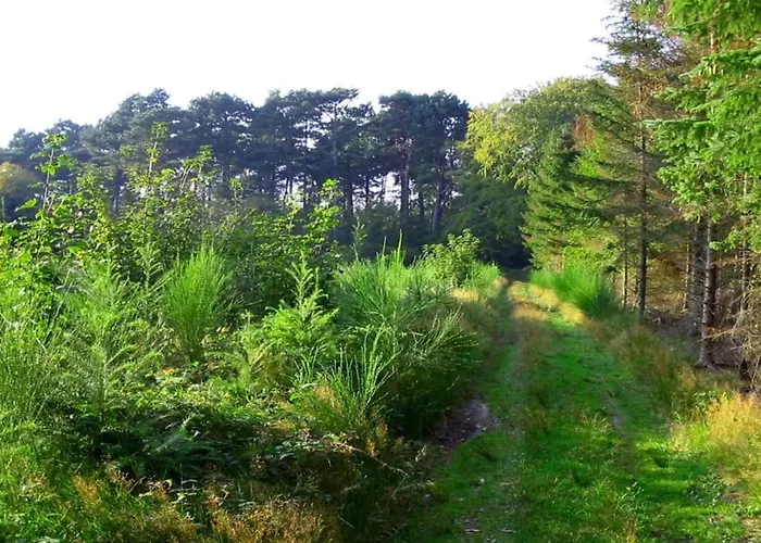 Luxury Retreat In Marielyst - By Traum Дом отдыха *